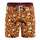 Fire Type Starters Pokemon Board Shorts Swim Trunks