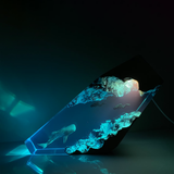 Whale Shark & Divers - High Quality Epoxy Resin Lamp