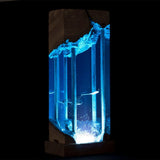 Manta Rays Roam In Ancient Ruins - High Quality Epoxy Resin Lamp