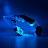 Orca & Divers - High Quality Epoxy Resin Lamp