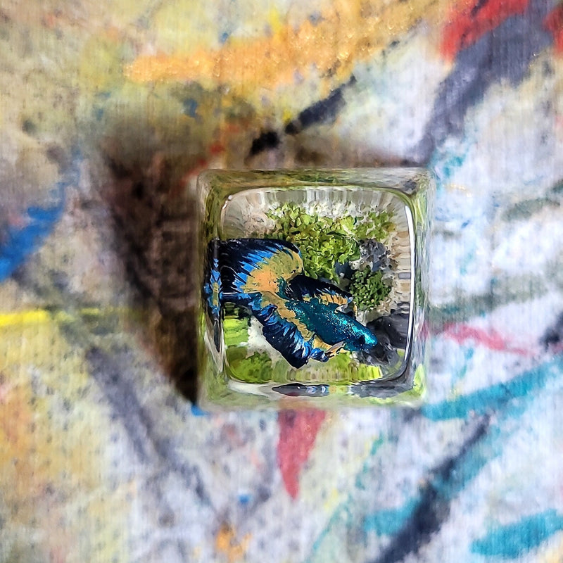 Siamese Fighting Fish Betta Artisan Keycaps Epoxy Resin